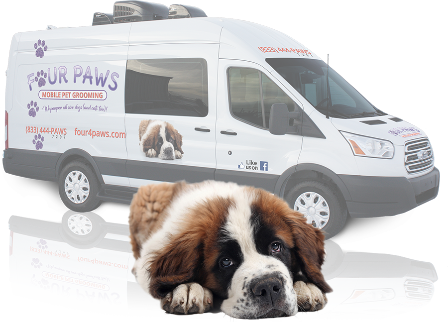 Four Paws Mobile Pet Grooming | Coming Soon to a Driveway ...